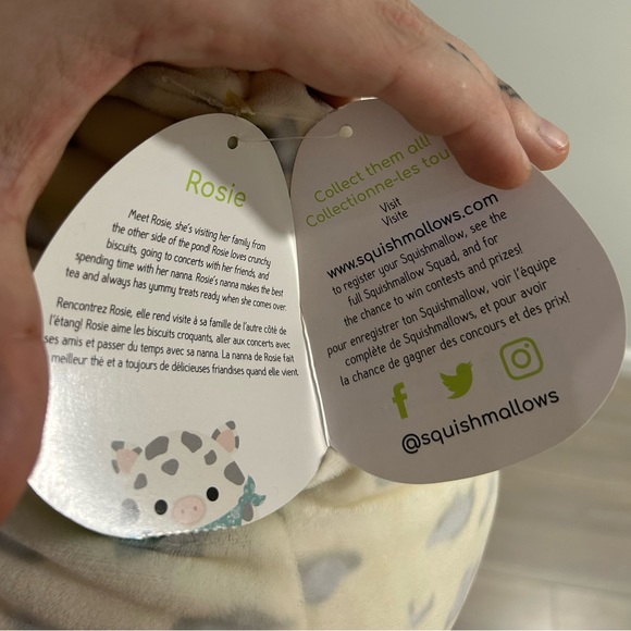 NWT Squishmallow Rose the Pig 12” Plush - Picture 3 of 3